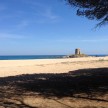 sardinien2015 (7).jpg